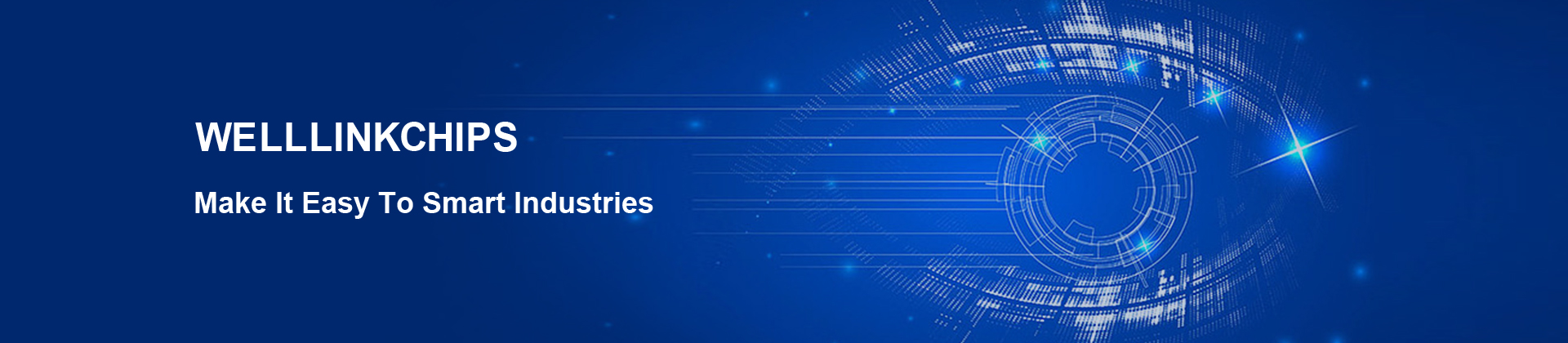 Welllinkchips